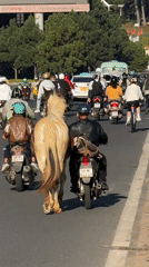Evening street life and recreation captured across Da Lat