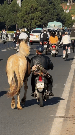 Evening street life and recreation captured across Da Lat