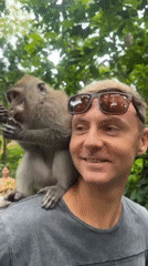Tourists pose with monkeys at Ubud sanctuary