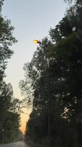 This video captures a drive through a tree-lined road, likely in Pruszków, Poland, during what appears to be dusk or early evening. The sun is setting, casting a warm, golden glow on the horizon, visible through a break in the dense foliage. Tall, leafy trees flank both sides of the road, their branches creating a canopy overhead.

Several streetlights are illuminated, casting pools of light on the road and the surrounding greenery. The road itself is asphalt, with visible lane markings. A few cars are seen in the distance, indicating ongoing traffic. The sky is a clear, soft gradient of pale blue transitioning to the orange hues of the sunset.

The overall mood of the video is serene and tranquil, suggesting a peaceful drive as day transitions into night. The absence of people in focus and the focus on the natural scenery and the road create a sense of journey and observation. No visible text is present in the video.