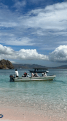 Tourist boat activities documented at pink sand beach location
