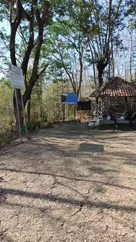 The video pans across an outdoor scene. In the foreground, a dry, barren patch of ground is visible, with shadows from trees falling across it. To the left, there is a tall wooden signpost with what appears to be a map or informational display. Further back, a small open-air pavilion with a tiled roof and checkered pillars stands amidst trees. Two people are seated inside the pavilion. Beyond the pavilion, a large, rough-textured rock formation with a rectangular opening carved into it is prominent. The rock is situated in a slightly hilly, wooded area with sparse vegetation and a clear blue sky overhead.
