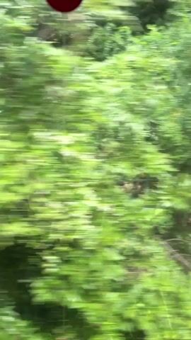 The video shows a view from a moving vehicle, likely a train or car, showing blurred green foliage and a stone wall. The view is moving rapidly from left to right. A dark red circle is present in the upper left corner of the frame.