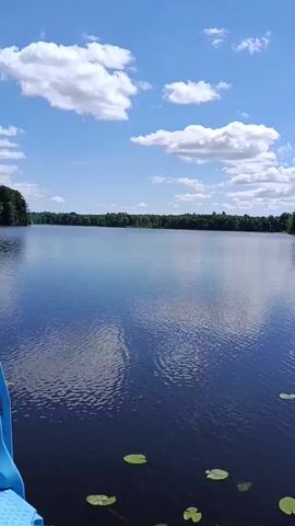 A video shows a calm lake on a sunny day. The water is dark blue and reflects the sky and clouds. There are lily pads floating on the surface of the water, particularly in the foreground. In the background, a dense line of green trees borders the lake. The sky is a clear blue with scattered white cumulus clouds. The camera pans slightly from left to right, revealing more of the tree line along the far side of the lake.