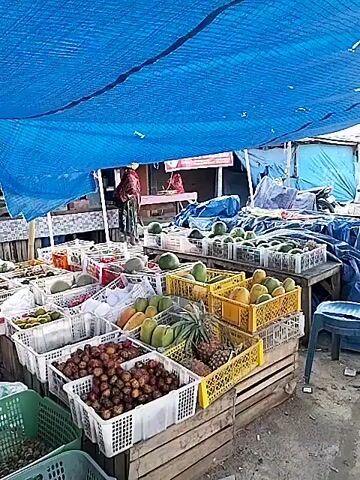 The video shows a fruit stall under a blue tarpaulin. Various fruits are displayed in crates, including pineapples, papayas, mangoes, and what appear to be small, round brown fruits. In the background, there are other stalls and people. A red tricycle is parked behind one of the stalls. Two chairs are visible in the foreground, one blue plastic stool and one wooden chair. The ground is dirt or gravel. The scene appears to be an outdoor market.