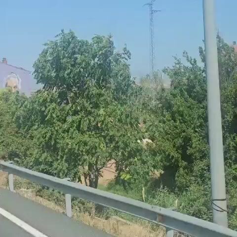 The video shows a view from a moving vehicle, looking out at a rural landscape. The foreground features a guardrail and vegetation. In the middle ground, there is a large mural painted on the side of a light purple building, depicting two faces, one of a young girl and the other of an older man. The mural is framed by trees and other foliage. In the background, there are power lines, more trees, and a red car drives by on a road in front of the mural. The sky is clear and blue.