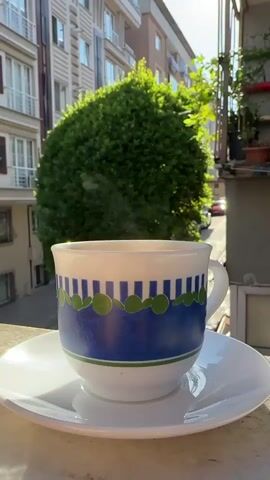 A close-up shot focuses on a coffee cup with a blue and green design, sitting on a white saucer. The cup is positioned on a ledge or balcony railing. In the background, a large, lush green shrub is visible, with a building and balconies also apparent. Sunlight streams in from the right, illuminating the scene. Wisps of steam rise from the coffee, indicating it is hot. The shot is static, with no observable movement other than the steam.