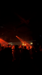 Early morning nightlife scenes documented across Lisbon venues
