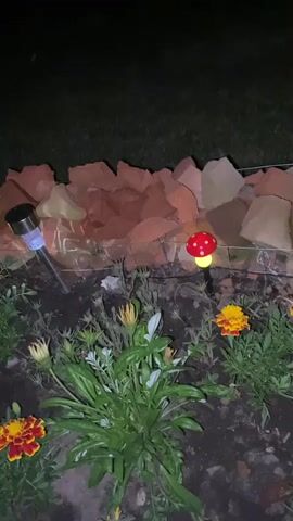 A handheld video pans across a garden at night. The garden bed is illuminated by two solar-powered lights: one is a silver stake light, and the other is a red and white mushroom-shaped light. Several marigold flowers, with red and yellow petals, are visible, along with some green foliage. A low wall made of rough, reddish-brown rocks forms the background.