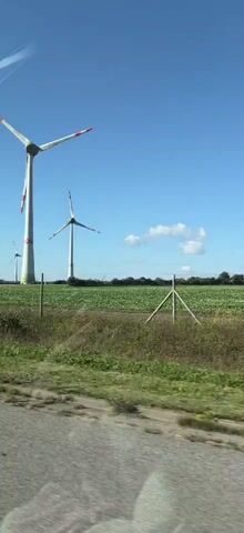 The video shows a series of wind turbines in a rural landscape. The turbines are tall and white with red tips on their blades. They are set against a clear blue sky with a few white clouds. The foreground shows a road with a grassy verge. The video appears to be shot from a moving vehicle, as the perspective shifts slightly throughout the short clip. The wind turbines are spinning, indicating that there is wind. The overall scene suggests a calm, sunny day in an area with wind energy production.