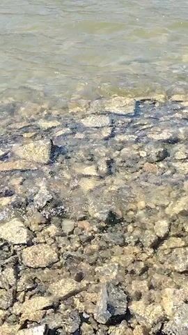 The video shows a close-up, low-angle view of shallow water lapping against a rocky shore. The water is clear enough to see the stones beneath the surface, which appear to be of various sizes and colors, ranging from light gray to dark brown. The sunlight reflects off the water, creating ripples and shimmering patterns. The overall impression is one of a peaceful, natural setting, likely a lake or riverbank. There are no people or animals visible in the frame. The camera appears to be held steady, with no significant movement or panning.