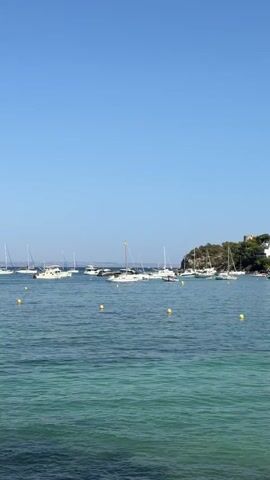 This media file depicts a tranquil scene of sailboats and yachts anchored in a clear, blue bay. The water transitions from a deep blue in the distance to a vibrant turquoise and emerald green closer to the viewer, suggesting shallow, clear waters. Numerous yellow buoys are scattered across the bay, marking designated areas.

In the background, a lush, green hillside rises from the water, dotted with buildings and what appears to be a structure or ruin at the summit. The sky is a clear, bright blue, indicating a sunny day with good weather. The overall atmosphere is one of peacefulness and calm, likely a popular spot for leisure and boating.

The media file appears to be a still image, capturing a moment of stillness in the harbor. There are no people visible in the frame, emphasizing the serenity of the natural setting and the boats themselves. The time of day is likely midday or early afternoon, given the bright sunlight and clear sky. The location cues, combined with the provided context, point to a coastal area in Calvià, Spain, known for its beautiful beaches and bays. No visible text is present in the image.