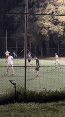 Evening life documented across Varna: soccer, monuments, hedgehog