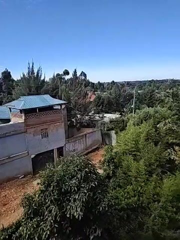 The video shows a wide shot of a residential area with a variety of trees and greenery against a clear blue sky. The camera pans slightly to the right, revealing more of the landscape. In the foreground, there is a building with a blue roof and a concrete wall with the word "NEMA" written on it. There are also several lush trees and bushes. In the background, there is a wide expanse of trees and other buildings, stretching out towards the horizon. The scene is well-lit and the overall impression is one of a peaceful, suburban environment.