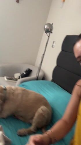 Woman records herself with dog in Mexican bedroom