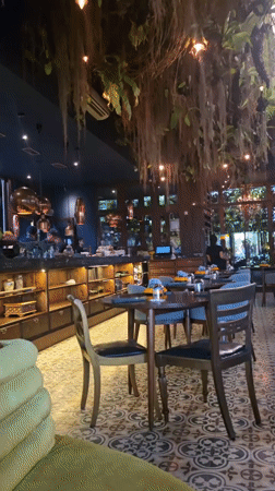 Daily life moments captured in Ubud, Indonesia morning scenes