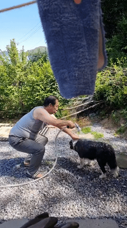 Family's Morning Bath Time Documented in Rural South Korea