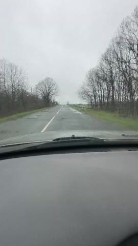 The video shows a view from inside a car driving on a rural road on a cloudy, wet day. The road is straight with a white line down the middle and some potholes. Bare trees line both sides of the road. The dashboard of the car is visible at the bottom of the frame. Raindrops are present on the windshield.