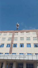 Rooftop tower work and a streetside tree in Tashkent