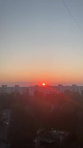 A sunrise is captured in a vertical video. The sun, a bright orange disc, is just above the horizon, peeking over a row of white apartment buildings. Rays of sunlight extend from the sun, creating a lens flare effect. The sky is a gradient of soft pink and orange, transitioning to a pale blue at the top. Silhouetted trees fill the lower part of the frame, obscuring the ground. There are no people visible in the video.