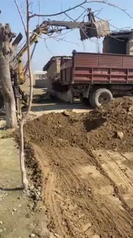 In a daytime outdoor shot, an excavator loads dirt into a burgundy-colored dump truck. The excavator is to the left, positioned behind a small, bare tree, while the truck is on the right. A large pile of dirt sits in the foreground, with fresh tire tracks visible in it. A man in dark clothing walks behind the truck. A small building is visible in the background. The sky is bright blue.