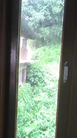 The video shows a view from a window looking out at a building and lush green vegetation during a rain shower. The building appears to be two stories high with a stone facade on the lower level and a balcony or overhang on the upper level. Several large window panes are leaning against the wall on the upper level, some with wooden frames. There are also what appear to be doors on the lower level, some painted blue. The surrounding environment is densely vegetated with trees and foliage, all appearing wet from the rain. The rain can be seen falling in streaks. The scene suggests a natural, possibly rural or mountainous, setting experiencing inclement weather.
