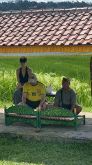 Daily life documented in Indonesian rice farming village