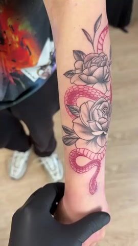 A close-up video shows a person's inner forearm featuring a fresh tattoo. The tattoo depicts two large, shaded grey and black roses with dark leaves, intertwined with a vibrant pink-red snake. The snake has visible scales and wraps around the roses, extending from near the wrist up the forearm. A gloved hand, wearing a black nitrile glove, is gently holding the tattooed arm at the wrist. In the blurred background, part of the tattooed person's clothing is visible: a dark t-shirt with a colorful red and orange graphic, dark pants, and white sneakers. The setting appears to be indoors with a light-colored floor.