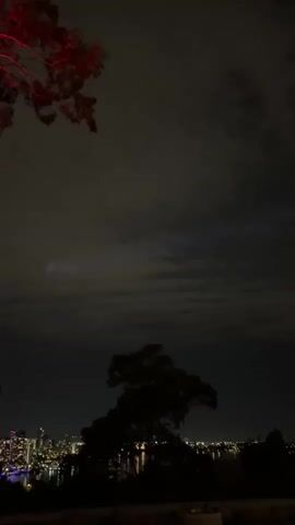 The video shows a cityscape at night, seen from a slightly elevated position, possibly a park or hill.  The skyline is lit with numerous lights.  There's water in between the viewer and the city. In the foreground, silhouetted against the night sky, there's a large tree and the red-purple branches of another tree partially visible in the upper left corner of the frame. The sky is overcast with clouds, but there are some hints of light filtering through. The camera is handheld and moves slightly, especially at the end of the video.