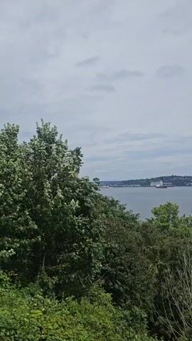 A video shows a panning shot of a city skyline across a body of water, with trees in the foreground. The sky is cloudy.