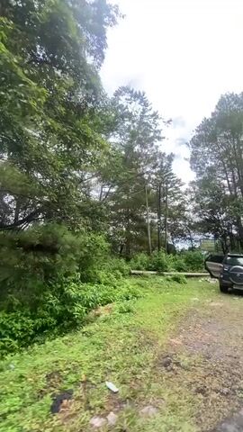 The video shows a car driving on a dirt road next to a grassy area with trees. The car appears to be moving slowly. The sky is cloudy. The car then turns onto a paved road and continues driving through a wooded area. The road is winding and there are other cars visible in the distance. The trees are tall and green, and the vegetation is lush. The sun is not visible, suggesting it is overcast. The camera is positioned inside the car, looking out the side window. There is some trash visible on the side of the road.