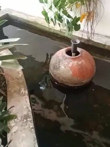 A floating fountain, with an orange, round base and a black nozzle on top, is in a rectangular pond. The water in the pond is dark and murky. On the left side of the pond, there are green, broad leaves of a plant. In the background, on the right side of the pond, there are more green plants with vines hanging down. The pond appears to be made of concrete.