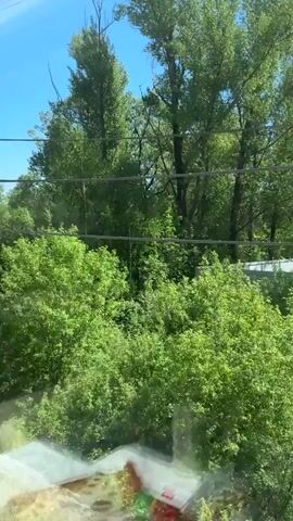 The video shows a view from a moving vehicle, likely a train, looking out the window at a green, wooded landscape under a blue sky. Power lines and poles are visible alongside the road or tracks. As the vehicle moves, the view shifts to reveal a green meadow and more trees.
