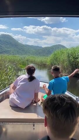 The video shows a rear view of three people on a boat traveling down a narrow waterway. The two people in the foreground, a girl and a boy, are seated on the back of the boat, facing away from the camera. The girl wears a pink shirt and gray shorts, with her hair pulled back in a ponytail. The boy is in a blue t-shirt and green shorts. The third person, a child with blonde hair, is visible in the very front, facing away from the camera as well.

The boat is moving through a lush, green landscape. Tall reeds and lily pads line the sides of the waterway, which reflects the bright blue sky with fluffy white clouds. In the background, rolling, tree-covered mountains rise under the sunny sky. The overall impression is of a serene and beautiful natural setting.

The scene is likely taking place during the day, given the bright sunlight and clear sky. The lush greenery suggests a warm season, possibly summer. The overall mood appears relaxed and pleasant, with the children enjoying the boat ride and the scenic views. There is no visible text in the video. The location context of Prevlaka, Montenegro, aligns with the natural scenery depicted.