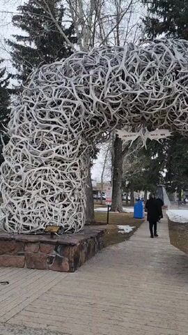 The video shows a path leading under an archway made of antlers. A person in a black coat walks along the path toward the archway. The archway has a sign on it that says "JACKSON HOLE, WY". There are trees and snow on the ground on either side of the path. 
The camera pans to show a street with parked cars, buildings, and mountains in the background. There is a sign that says "Million Dollar Cowboy Bar". There are people walking on the sidewalk. The sky is overcast.