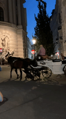Vienna's inner city landmarks glow at midsummer dusk