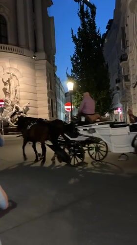 Vienna's inner city landmarks glow at midsummer dusk
