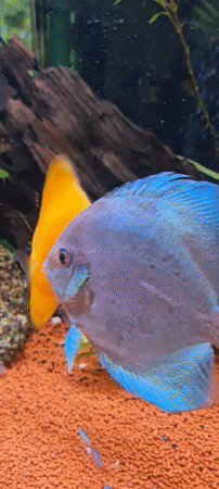 Mother-daughter playtime at Israeli indoor playground captured in memories