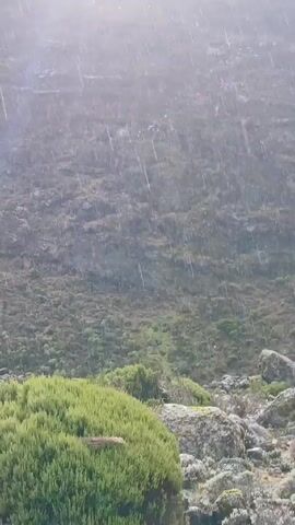 The video shows a mountainside scene under heavy rain.  The landscape is rocky with sparse vegetation, and the rain obscures the view, creating a gray, misty atmosphere.  Distant figures, possibly people, are visible on the slope, and the bright, hazy sun is trying to peek through the clouds at the top of the frame.