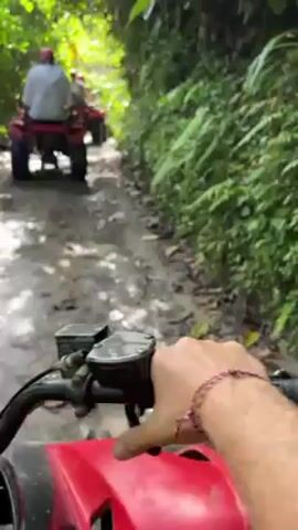 The video shows a first-person perspective of someone driving a red ATV on a dirt road through a lush, green forest. Other people on red ATVs are driving ahead, with a man in a white shirt and red hat visible in the lead. The road is uneven and bumpy with exposed roots and rocks. Sunlight filters through the dense canopy of trees, creating dappled light on the path. The camera is mounted on the ATV, focusing on the handlebars and the trail ahead. The driver's hand is visible on the throttle, with a beaded bracelet around the wrist. The sound of the ATV engine can be heard.