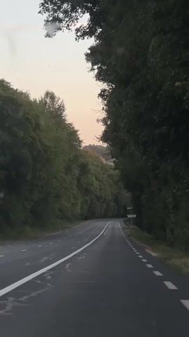 The video shows a view from a vehicle driving on a paved road. The road is flanked by dense green trees on both sides, creating a tunnel-like effect. The sky above is a soft gradient of light pink and pale blue, suggesting it is either dawn or dusk. The road itself has a white solid line on the left and dashed white lines on the right, indicating it is a two-lane road. The surface of the road appears somewhat wet or reflective. In the distance, the road curves to the right, and a small road sign is visible on the right side of the road, mounted on a pole. The overall impression is a serene drive through a lush, green landscape.