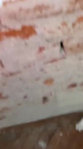 The video begins with a close-up of a pink fabric, likely a curtain, with a vertical shadow down the center. The view then shifts to a bright white background with green trees visible through an open window frame. The scene transitions to a wider view of a sunset. The sky is filled with colorful clouds in shades of orange, pink, and gray, with sunbeams breaking through. Dark green trees form a silhouette against the vibrant sky in the foreground. A small, light-colored object, possibly a birdbath, is visible at the bottom of the frame. The overall impression is a peaceful, natural scene at dusk.