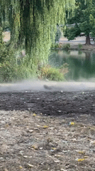 RC truck kicking up dust by a lakeside in Guildford