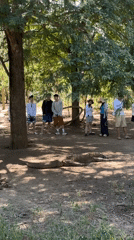Tourist group encounters resting Komodo dragon in Indonesian park