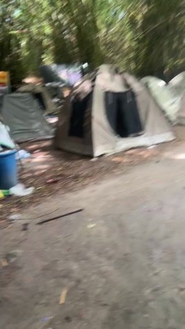 The video shows a campsite with several tents pitched in a wooded area. The tents are various shades of green and beige. The ground is covered in dirt, leaves, and twigs. The camera moves slowly, providing a view of the encampment. There are no people visible in clear view in the frame.