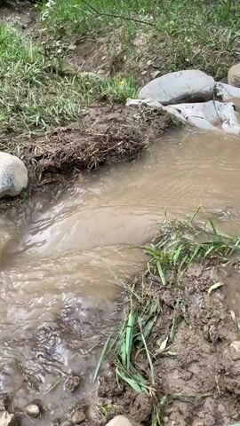 The video captures a close-up, ground-level view of a muddy stream flowing through a natural outdoor setting. The water is murky brown, indicating it is likely carrying sediment. The stream banks are lined with green grass and dirt, with various rocks and debris visible along the edges. There are no people or animals in the frame.

The activity is the continuous flow of water, with some small ripples and splashes visible as it moves over the uneven terrain and rocks. The overall scene suggests a natural landscape, possibly after rainfall, given the muddy water and wet ground. The time of day appears to be daytime, as there is ample natural light illuminating the scene. The weather seems overcast or perhaps it has recently rained, contributing to the muddy conditions.

Notable details include the texture of the wet soil and the varying sizes of the rocks submerged in or surrounding the stream. The focus is on the movement and appearance of the water and its immediate surroundings. There is no visible text within the video. The setting evokes a rural or undeveloped area, consistent with the provided location context of Жаңы-Коргон, Kyrgyzstan. The overall mood is one of nature in motion, with an emphasis on the raw, earthy elements of the environment.