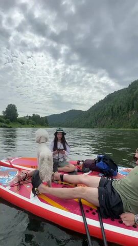 A video taken from a low angle shows two people and a dog on paddleboards in a river. The dog, a white poodle, stands on the paddleboard in the foreground, facing the camera. A young woman in a hat sits on the paddleboard behind the dog, looking at her phone. The legs of another person are visible in the foreground, stretched out on the paddleboard. The paddleboards are red and have colorful designs. The river is wide and calm, with green, tree-covered hills on either side. The sky is cloudy. The overall scene depicts a leisurely outdoor activity on the water.