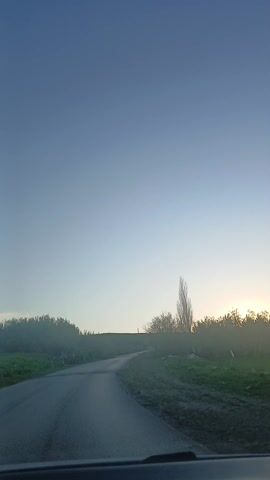 The video shows a view from inside a car driving on a narrow paved road. The camera is looking forward and up, capturing the road ahead, a grassy shoulder with some shrubs and trees, and the sky. The sky is light blue, tinged with orange where the sun is rising or setting behind the trees. The road curves gently uphill. There is a single tall, thin tree standing prominently on the roadside. The lighting is soft and the scene has a tranquil feel.