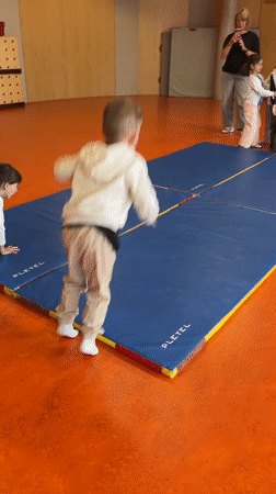 Children's gymnastics and art activities documented in La Fouillouse