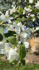 Spring day outdoor activities recorded in rural Russian village